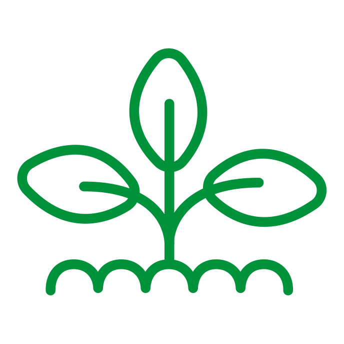 Cooperativa Viveros Unidos